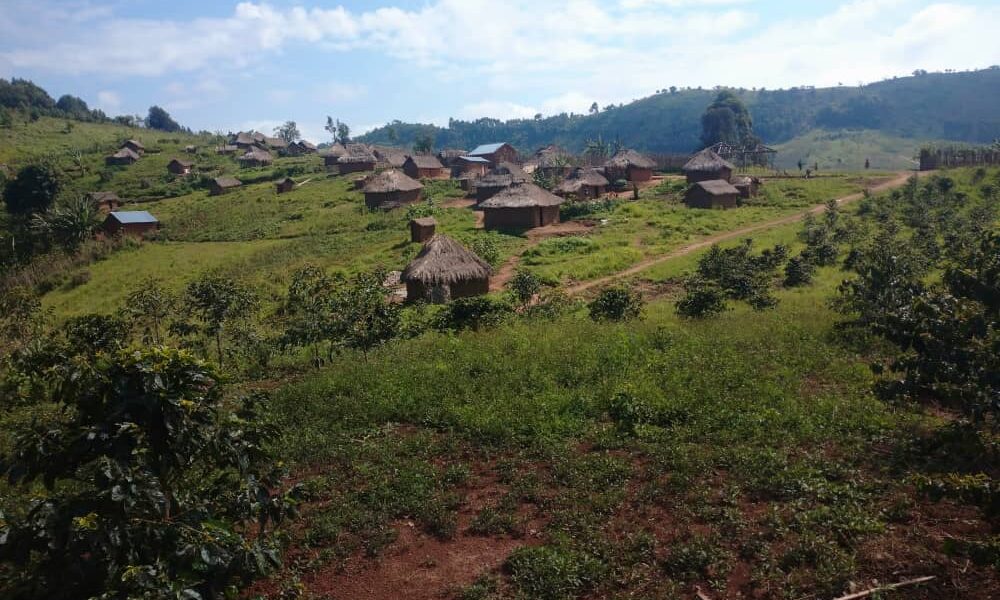 Lubero sous emprise : La population civile prise au piège du système “Bebesha” imposé par le M23