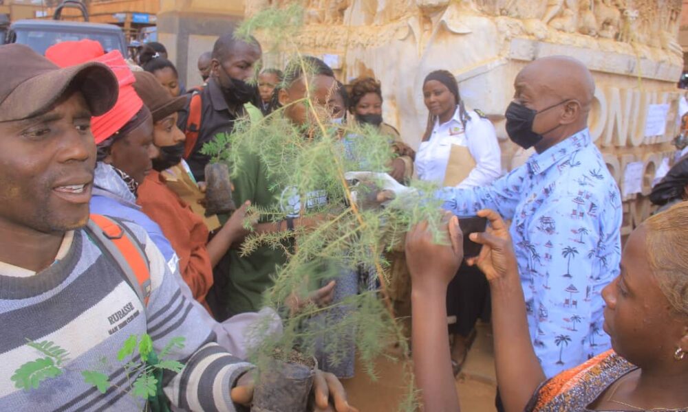 Butembo : La journée mondiale de l’environnement célébrée su